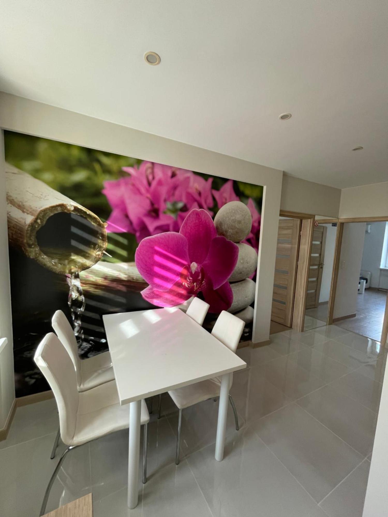 Apartment Sienkiewicza